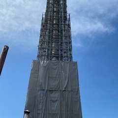 一緒に会社を大きくしてくれる仲間募集❗️の画像