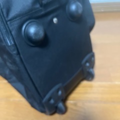 MANDARINA DUCK キャリーの画像