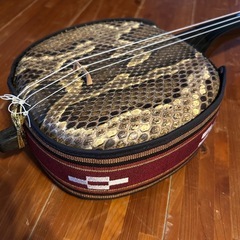 ◼️宮古島から➓◼️本皮三線◼️女性◼️沖縄◼️初心者🔰◼️サンプル音源◼️強化張◼️御旅行中の方にも〜🎵の画像