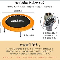 手すり付きトランポリン(大人も可)の画像
