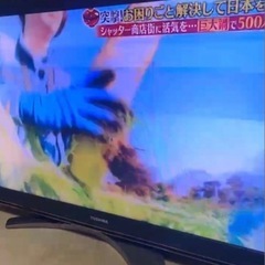 テレビ東芝　REGZA　46インチの画像