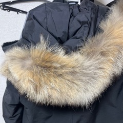 カナダグースレディースダウンの画像