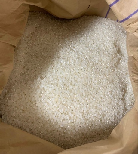 ?✨ 令和7年産 コシヒカリ玄米 30kg｜?2袋購入で割引あり?

