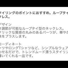 BEAUTY & YOUTH UNITED ARROWS】 ネックレスループタイネックレスレディース　  の画像