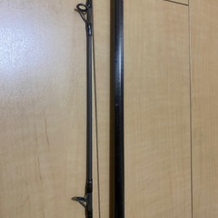 ソルティーアドバンス　S100Mの画像