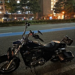 ハーレーダビットソン xl1200cの画像