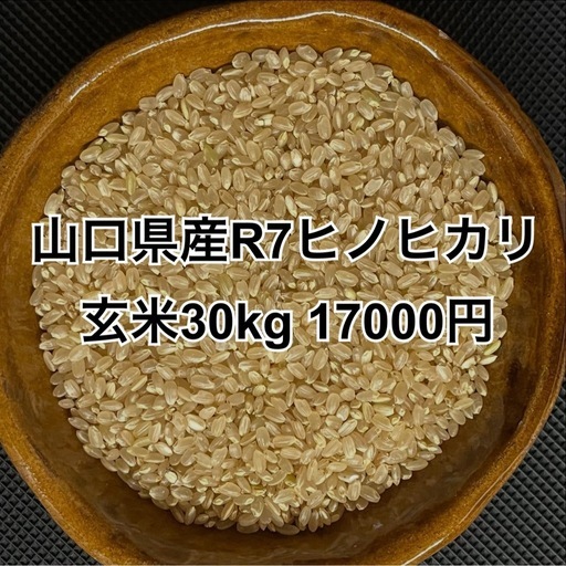 【お米】山口県産R7ヒノヒカリ玄米30kg 17000円