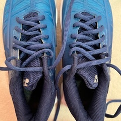 値下げ　ヨネックス　バドミントンシューズ　22cmの画像