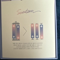 SEVENTEEN ペンライトの画像