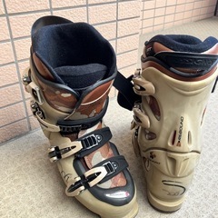 レディース スキー＆ブーツ SALOMON サロモン 150cm(R14) 24cm の画像