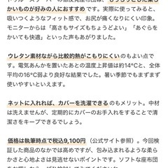 【未使用品】トゥルースリーパー座布団　クッション　2枚セットの画像