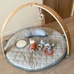 インジェニュイティ　コージースポット リバーシブルジムの画像