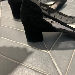 ダイアナパンプスの画像