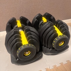 可変式ダンベル•ベンチ台•懸垂マシン•全身ミラー
の画像