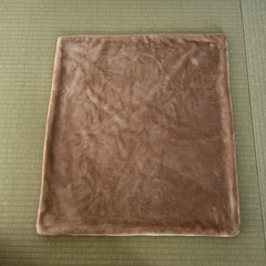 商談中　大きなクッションの画像