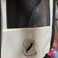 犬猫のドライヤールームの画像