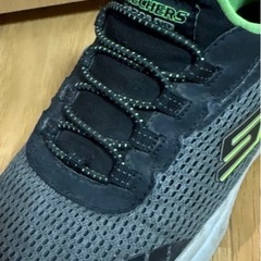 スケッチャーズ20cmの画像