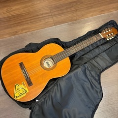 決定　アコースティックギターの画像