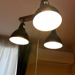 ニトリで1／16購入の画像