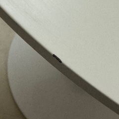 円形テーブル 
の画像