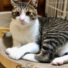 とっても人慣れしている男の子！