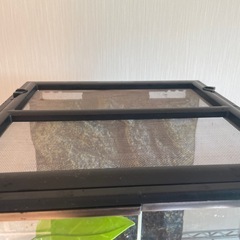 爬虫類　ケージ3045　　エキゾテラの画像