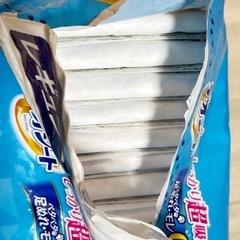 ⭐️デオシート⭐️レギュラー⭐️ペットシート⭐️44×32超吸収タイプ⭐️の画像