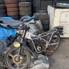 スズキ　RG50ウルフ ガンマの画像