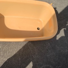 わんちゃんお風呂？の画像