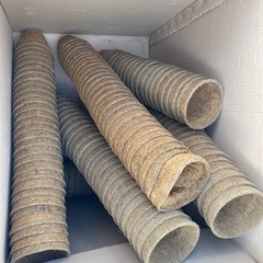 パームポットの画像