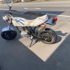 エイプ50 ホワイトの画像