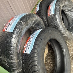 MEDDLION     ACP1 オールシーズンタイヤの画像