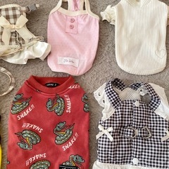 犬服まとめ売り(おまけつき)の画像