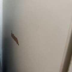 募集中【タンス】IKEA 無料・0円の画像