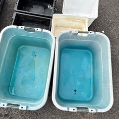 お渡し予定決定
の画像