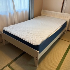 【早い者勝ち美品】コアラマットレス　セミダブルの画像