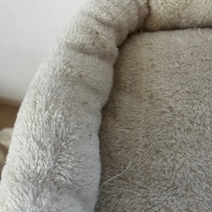 Feandreaのキャットタワーの画像