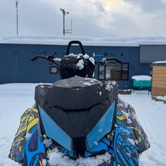 スキードゥー　G4 2019 175 スノーモービル　ポラリス　ヤマハ　キャットの画像