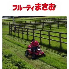 フルーティまさお 乗用芝刈り機 赤　50.1H ほとんど新品　4WDの画像