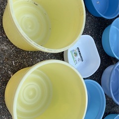 白 プラスチック製洗い桶たらい バケツ 10個セット青黄の画像