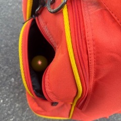 PERSON’S ゴルフ11本セットの画像