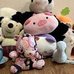 ぬいぐるみ　多数の画像