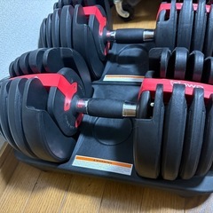 可変式ダンベル24kg(15段階)※手渡しの画像