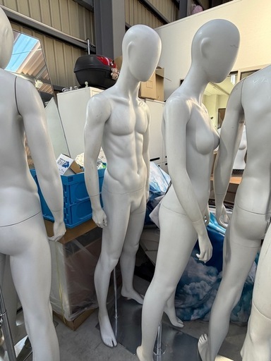 マネキン、トルソー、男性、女性、土台付き