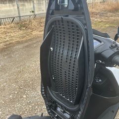 ワイズギア ローダウンシート シグナスグリファス(美品)の画像