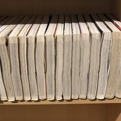 龍狼伝　全37巻セットの画像