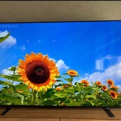 REGZA 65インチ　4K液晶テレビの画像