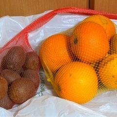 令和7年産　新米コシヒカリ（玄米）30㎏+果物の画像