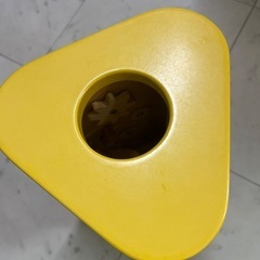 エドインター　森の音楽会　の画像