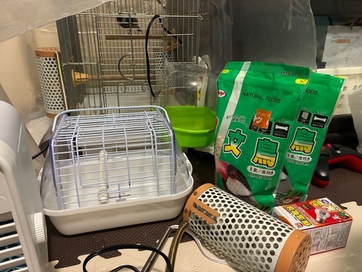 文鳥初めてセット